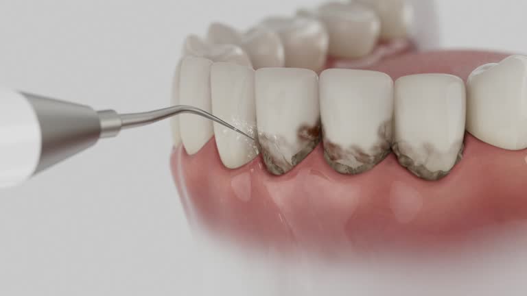Reliable Dental contractor in Litchfield, MI by Dentist Open Now